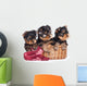 Yorkshire Terrier Puppies in a Basket Wall Decal