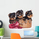 Yorkshire Terrier Puppies in a Basket Wall Decal