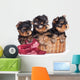 Yorkshire Terrier Puppies in a Basket Wall Decal