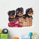 Yorkshire Terrier Puppies in a Basket Wall Decal