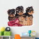Yorkshire Terrier Puppies in a Basket Wall Decal