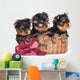 Yorkshire Terrier Puppies in a Basket Wall Decal