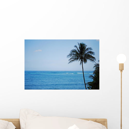 Kailua Beach and Palm Wall Mural