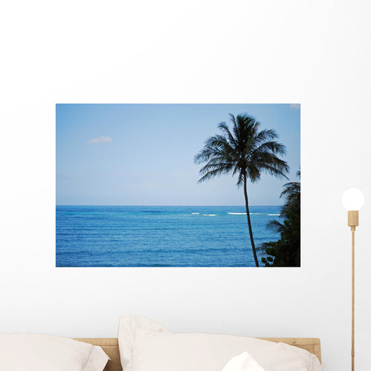Kailua Beach and Palm Wall Mural