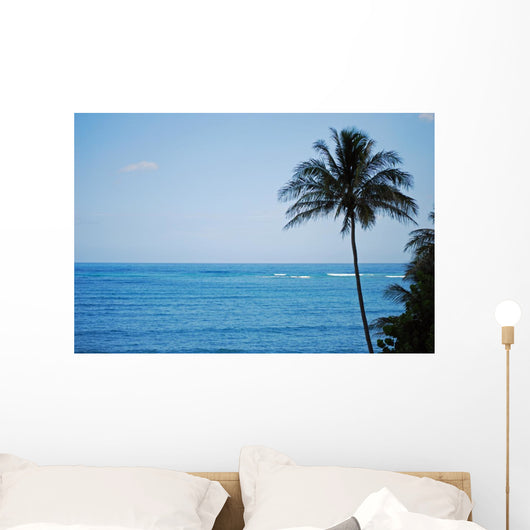 Kailua Beach and Palm Wall Mural