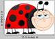 Happy Ladybug