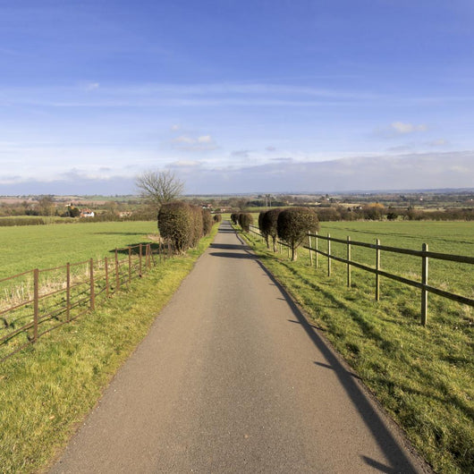 Countryside Wall Mural