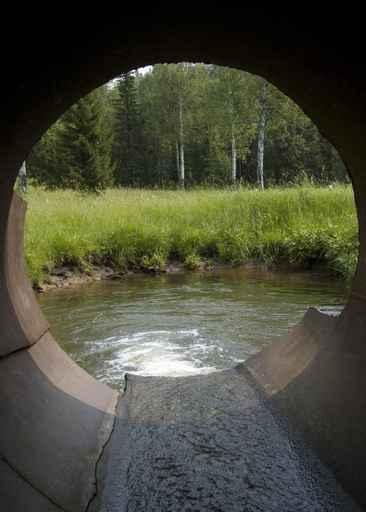 Sewer Wall Decal