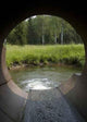 Sewer Wall Decal