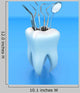 Dental Tools
