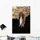 The Bat Wall Mural