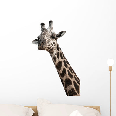 Giraffenportra T Wall Decal shown on a wall