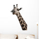 GiraffenportrÃ¤t Wall Decal