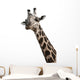 GiraffenportrÃ¤t Wall Decal