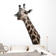 GiraffenportrÃ¤t Wall Decal