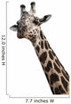 GiraffenportrÃ¤t Wall Decal