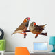 Two Zebra Finch Birds Wall Mural