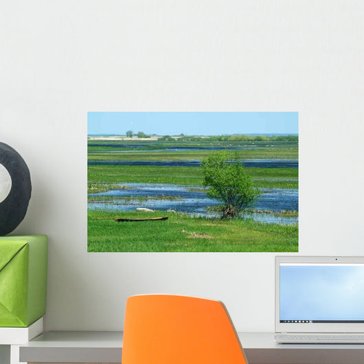Biebrza River 1 Wall Decal