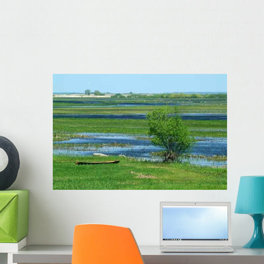 Biebrza River 1 Wall Decal