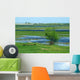 Biebrza River 1 Wall Decal