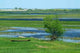Biebrza River 1 Wall Decal