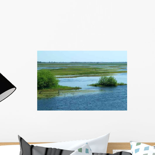 Biebrza River 2 Wall Decal
