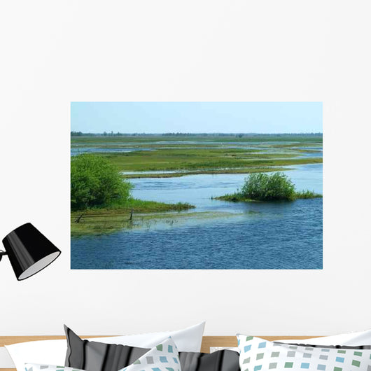Biebrza River 2 Wall Decal