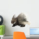 Porcupine Wall Decal