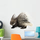 Porcupine Wall Decal