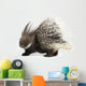 Porcupine Wall Decal