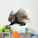 Porcupine Wall Decal