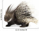 Porcupine Wall Decal