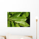 Leaves Chestnut Wall Decal