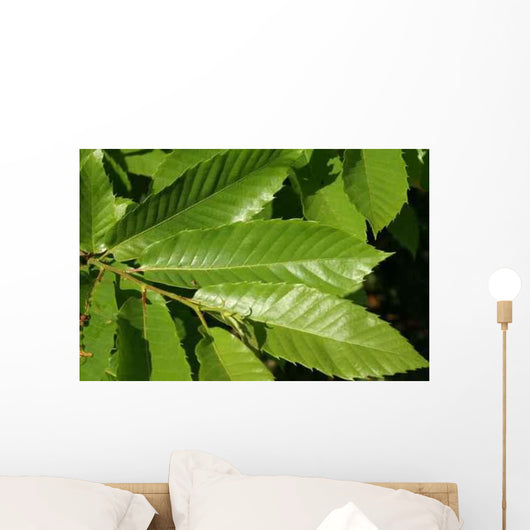 Leaves Chestnut Wall Decal