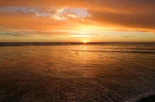 Golden Ocean Wall Decal