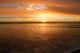 Golden Ocean Wall Decal