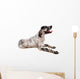 Setter Anglais Wall Decal