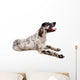 Setter Anglais Wall Decal