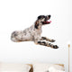 Setter Anglais Wall Decal
