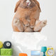 Little Bunny Sitting