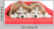 Japanese Akita Inu Puppies