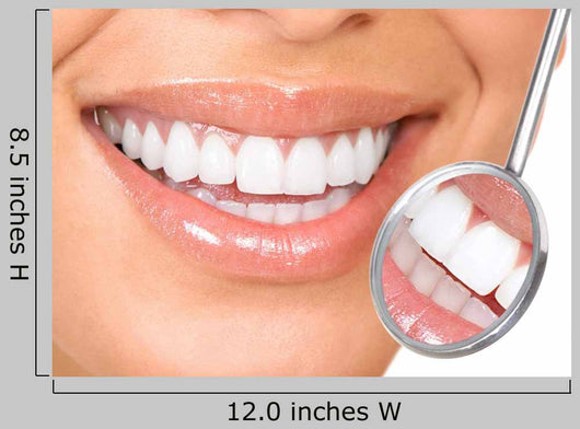 Teeth