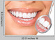 Teeth
