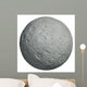 Moon Wall Mural