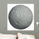 Moon Wall Mural