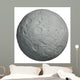 Moon Wall Mural
