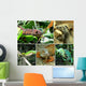 Reptiles Wall Mural
