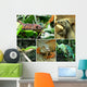 Reptiles Wall Mural