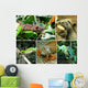 Reptiles Wall Mural