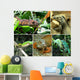 Reptiles Wall Mural